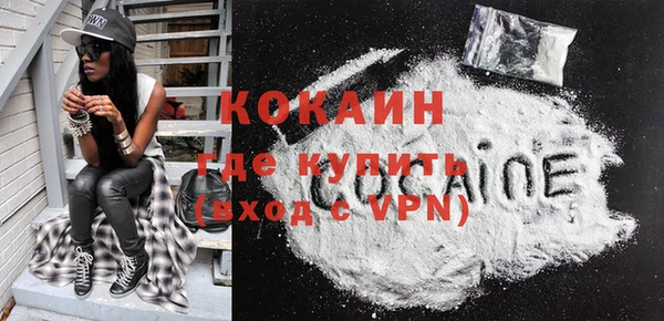 шишки Армянск