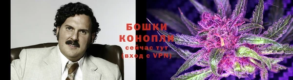 шишки Армянск