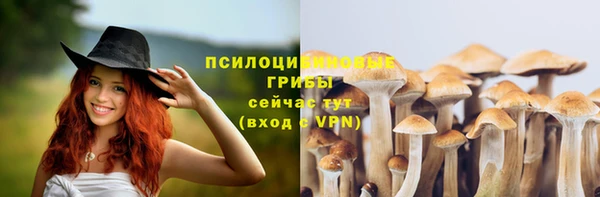 шишки Аркадак