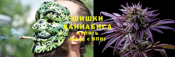 шишки Аркадак