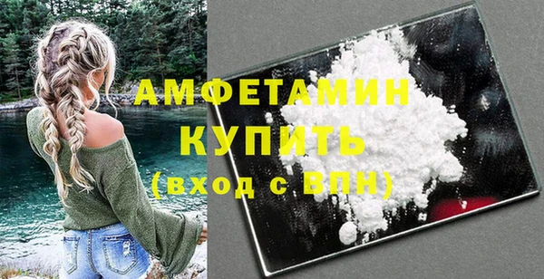 шишки Аркадак